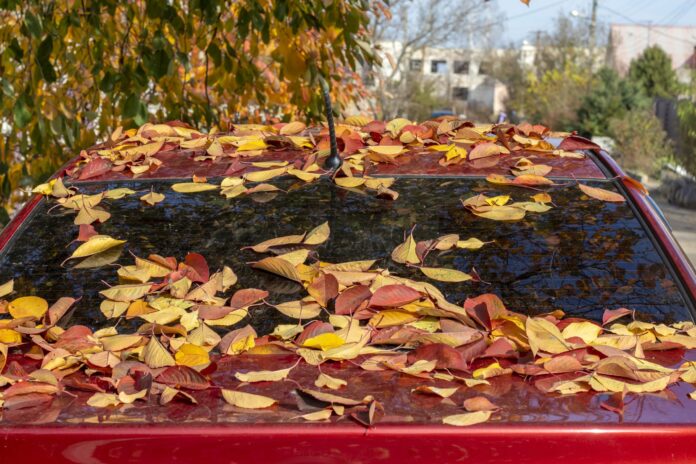 carsome abandoned car