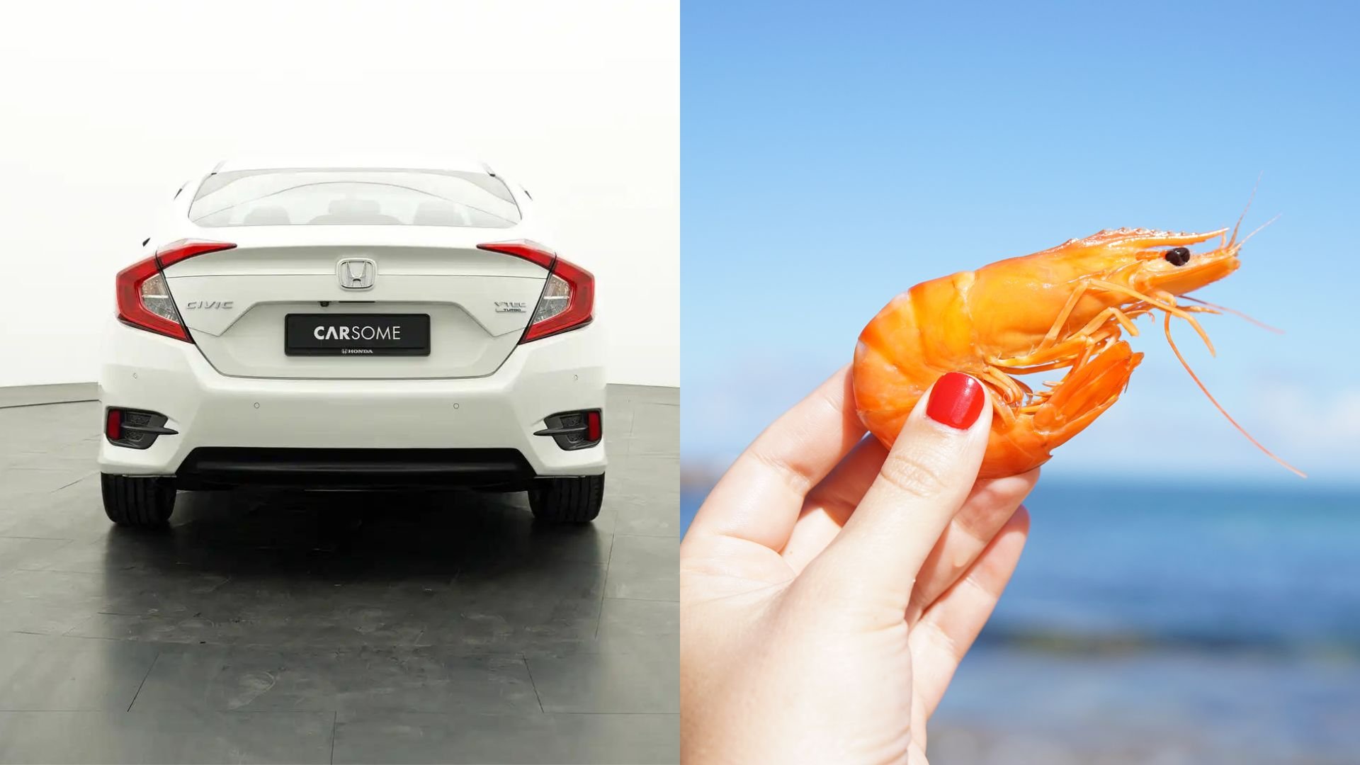 Honda Ud- I mean Ketam