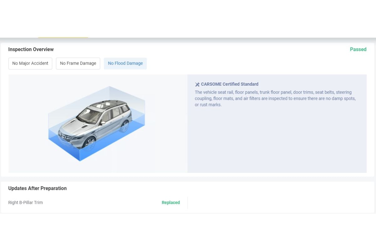 Second-hand car inspection report